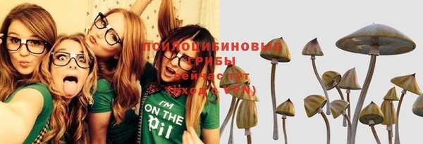 соль ск Инта