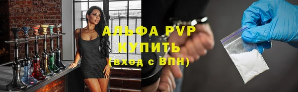хмурый Инсар