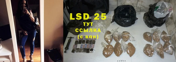 хмурый Инсар