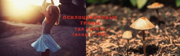 герыч Иннополис