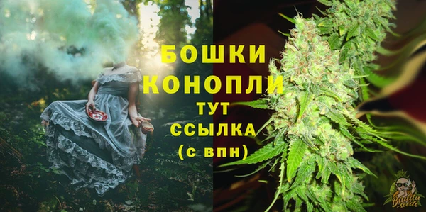 хмурый Инсар
