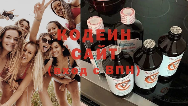 хмурый Инсар