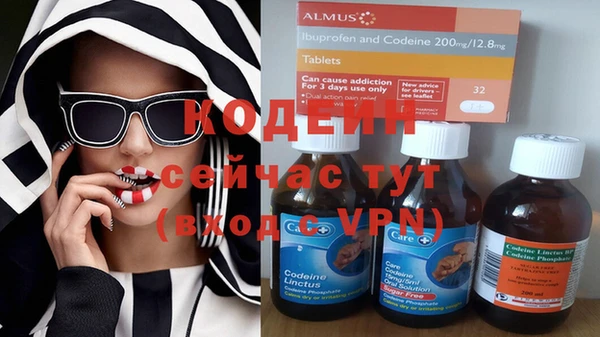 хмурый Инсар