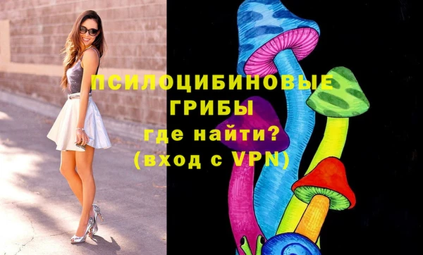 соль ск Инта