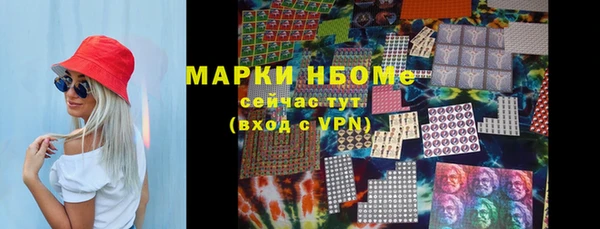 хмурый Инсар