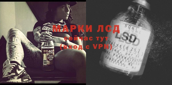 хмурый Инсар