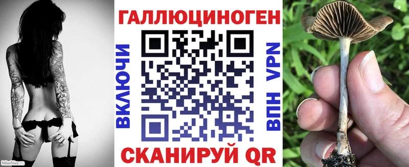 Купить где  Волчанск  Галлюциногенные грибы Psilocybine cubensis 